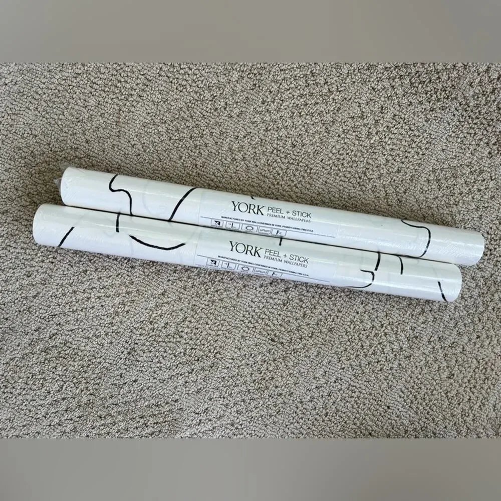 York 2 NEW peel and stick wallpaper Pablo line drawing design minimal modern art